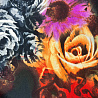 Трикотаж джерси принт "Цветы" F015690 Col.1 черный, оранжевый, 150 см, 270 г/м² фото № 4