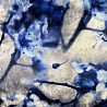 Трикотаж велюр "Сакура" VLP208Z, голубой, серый, 150 см, 240 г/м² фото № 4
