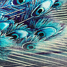Вискоза (штапель) принт односторонний бордюр "Цветы/перья" 539B, морской волны, фиолетовый, 110 г/м², 150 см фото № 7