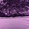 Бархат мрамор TX091, сливовый, 150 см, 270 г/м² фото № 4